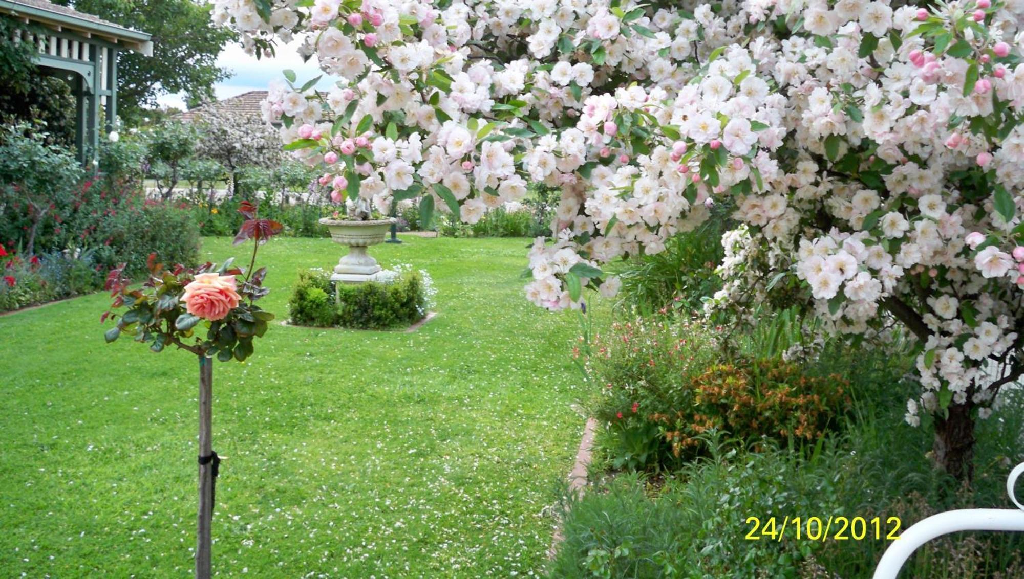 Dalfruin B&B Bairnsdale Eksteriør billede